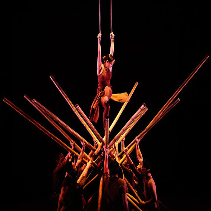 A O Show At The Saigon Opera House