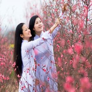 Best of Vietnam, Cambodia