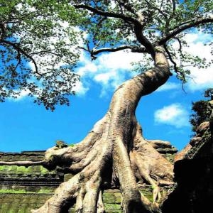 Cambodia Highlights