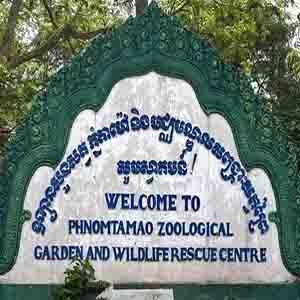 Day 2 - Phnom Penh - Tamao Wildlife Sanctuary