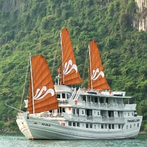 Paradise Cruise  - Paradise Cruise 