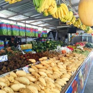 Day 5 – Hue - Ha Noi