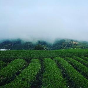 Day 6 – Ho Chi Minh City - Da Lat