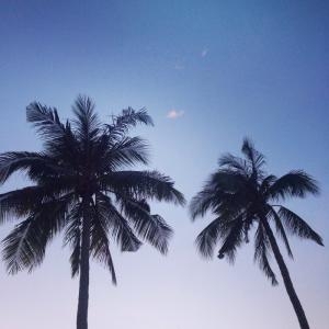 Day 7 – Hoi An - Nha Trang