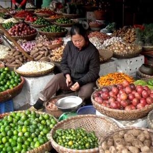 Cooking Class in Hanoi - Cooking Class in Hanoi, Vietnam