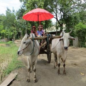 Day 3 – Siem Reap
