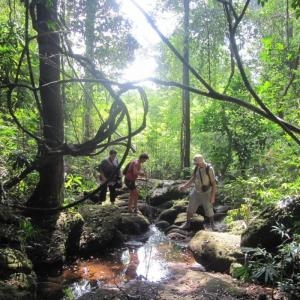 Day 2 – Vientiane - Orchid Trek