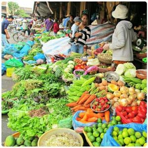 Full Day Excursion in Hoi An Ancient Town - Full Day Excursion in Hoi An Ancient Town, Vietnam