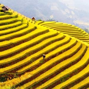 Northern Vietnam Adventure, Hanoi, Sapa, Dong Van, Ba Be lake, homestay, Cat Cat Village, Ba Be National Park
