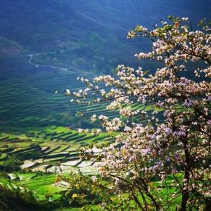 Day 5 – Sapa - Ha Giang