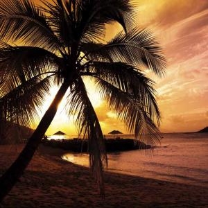 Sunset BBQ and Night Squid Fishing in Phu Quoc - Sunset BBQ and Night Squid Fishing in Phu Quoc, Vietnam