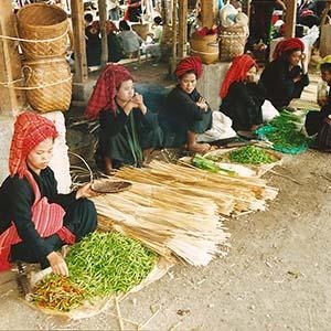 Day 7 - INLE LAKE - YANGON