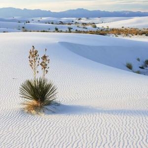 Mui Ne Sunrise Sand Dunes By Jeep - Mui Ne Sunrise Sand Dunes By Jeep, Phan Thiet