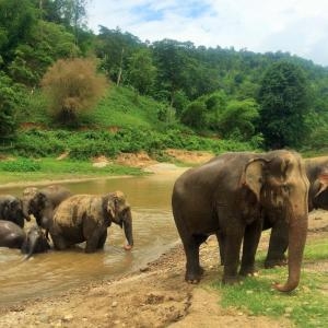 Day 8 – Chiang Mai