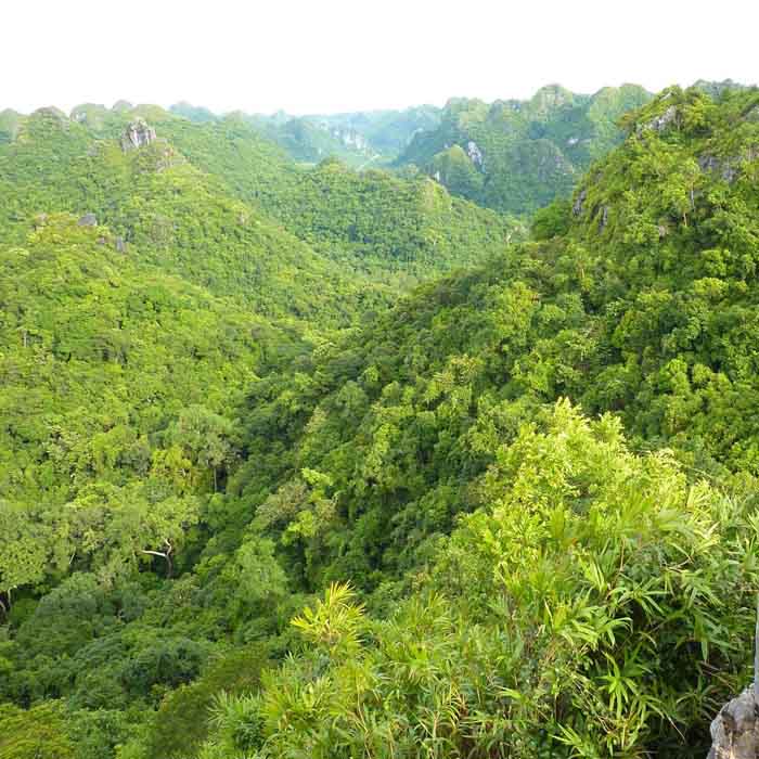 Boat Riding, Biking & Kayaking Day Trip From Cat Ba Island