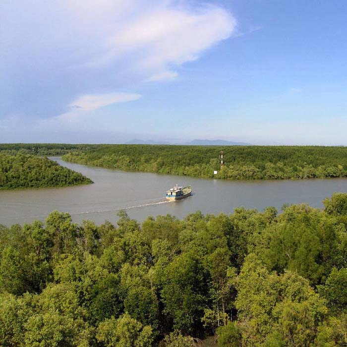 Can Gio Biosphere Reserve Day Trip