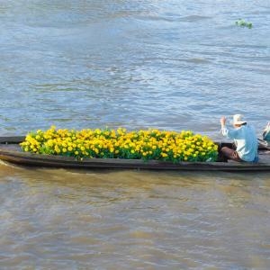 Cambodia To Vietnam Cruise, Cambodia Cruise, Phnompenh, Kampong Tralach, Koh Chen, Oudong, Chau Doc, Sa Dec, Vinh Long, Cai Be, My Tho, Hochiminh 