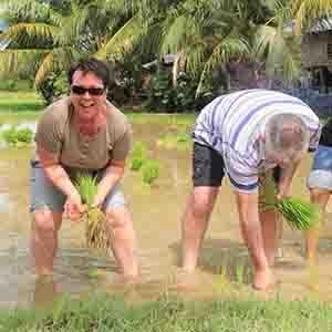 Day 3 - Siem Reap - Free in the afternoon
