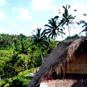 Day 3 – Kamu Lodge - Pak Ou - Luang Prabang