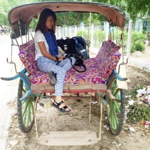 Day 7 – Orcaella