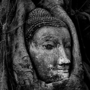Ayutthaya, Cruise, Thailand Day Trips, Summer Palace, Chao Phraya river