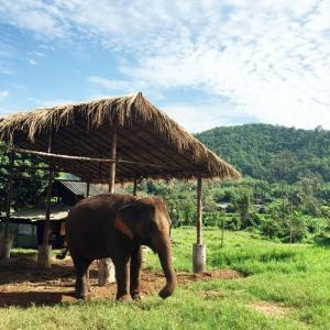 Day 4 – Katha - Shwe Gu