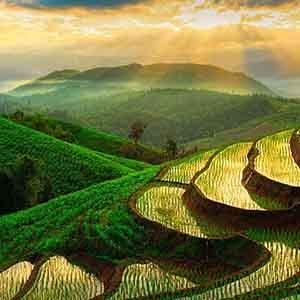 Day 8 - Free Day in Chiang Mai