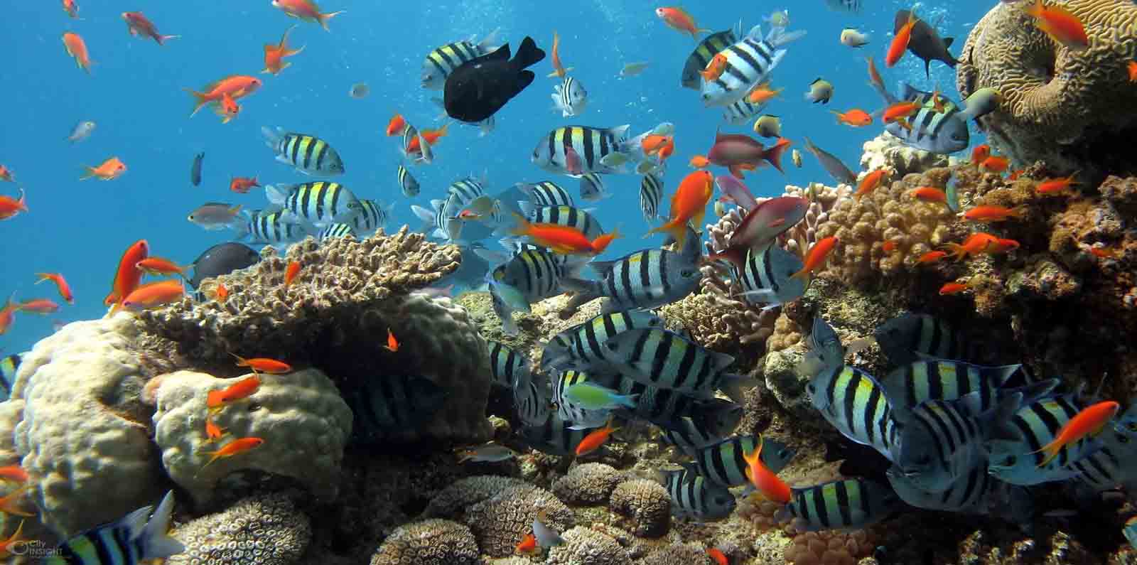 Something \"fishy\" on Phu Quoc: Five villages worth casting an eye on