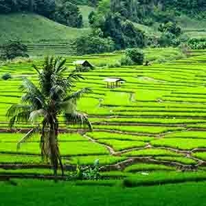 Chiang Mai voted best city in Asia by readers of Travel + Leisure - Chiang Mai, Travel + Leisure, digital nomads