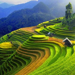 Vietnam