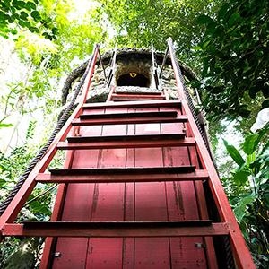 Lush Garden Studio & Tree House - Lush Garden Studio & Tree House, Hanoi, Vietnam, Hotel in Hanoi, dao anh khanh studio