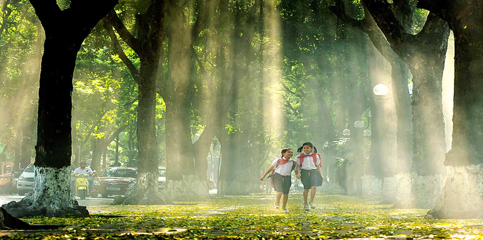 What differences could be found in the autumn of Vietnam?