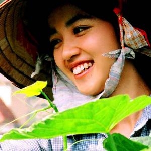 Son doong cave, hoi an, sapa, can tho, son tra, dong van, genh da dia, con dao, ban gioc waterfall, da lat, trang an, hue, cuc phuong national park, phu quoc, beautiful places in vietnam