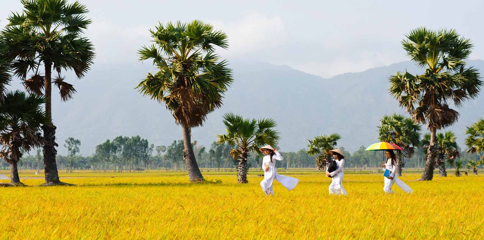 Vietnam extends visa exemption for Europeans for another three years since 2018