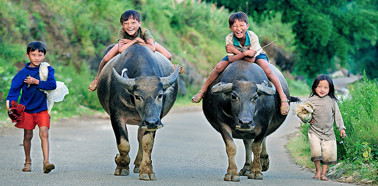 14657881257543_vietnam_14637248673301_Tuoi-tho.jpg