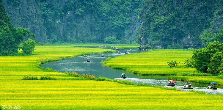 14657881816731_vietnam_14637247953182_Ninh-Binh.jpg