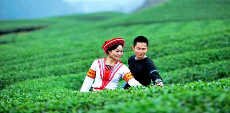 14659806029666_doi-che-thai-nguyen-ivivu-5.jpg