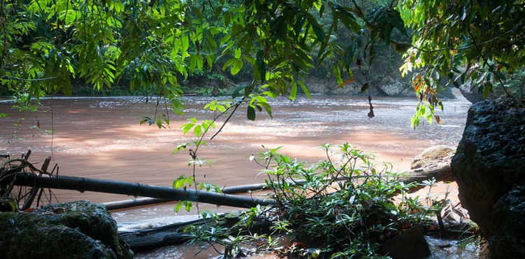 14698501298249_laos--bokeo-nature-reserve-copy.jpg