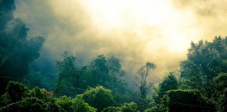 14698515553669_laos--bokeo-nature-reserve-2-copy.jpg