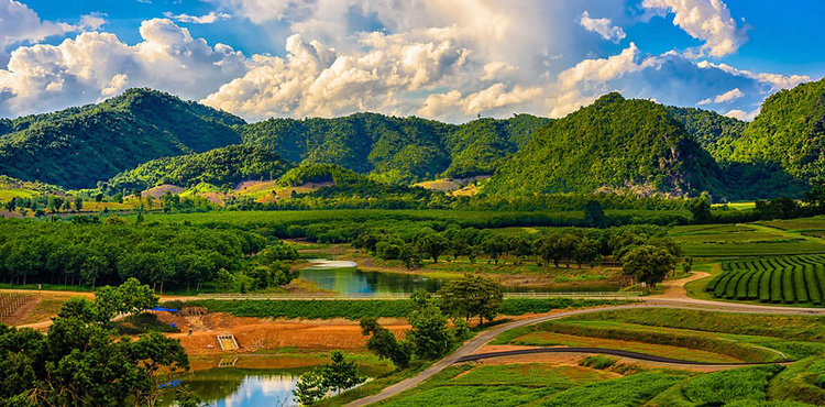 14698969346672_thailand--chiang-rai-1-copy.jpg