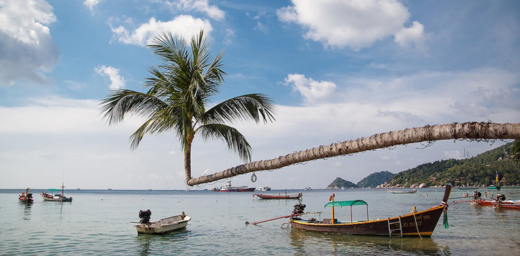 14699033833434_thailand--koh-tao-2-copy.jpg