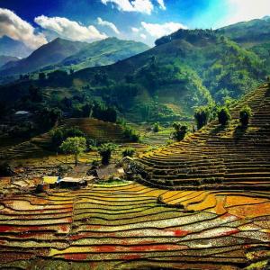 14647501933413_du-lich-Viet-Nam-Mua-dong-mytour-14.jpg