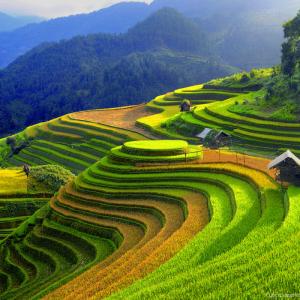 14647501939655_bac-thang-o-mu-cang-chai-1409368681.jpg