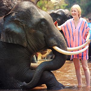14659798873117_Slider--Patara-Elephant-Farm-Chaing-Mai.jpg