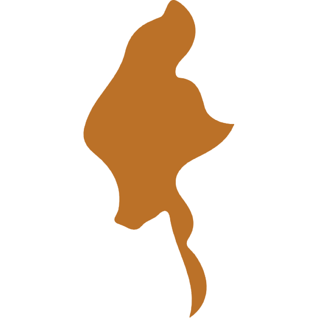 Myanmar